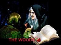 /album/fotogaleria-fotos/a9805-10203965724518511-7111489160020339353-n-jpg1/